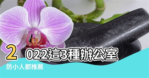 辦公室多肉植物風水|2022這3種辦公室植物風水一定要知道！推薦招財、防。